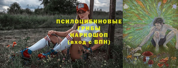 ГАЛЛЮЦИНОГЕННЫЕ ГРИБЫ Аркадак