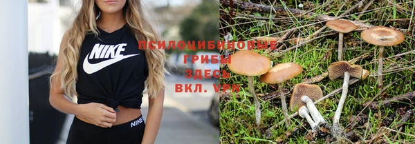 гашик Дмитриев