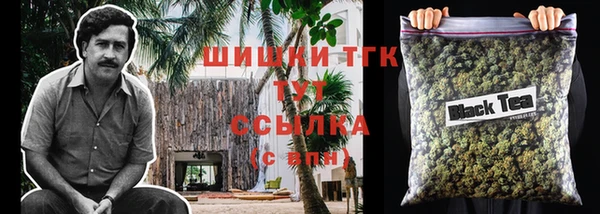 ГАЛЛЮЦИНОГЕННЫЕ ГРИБЫ Аркадак